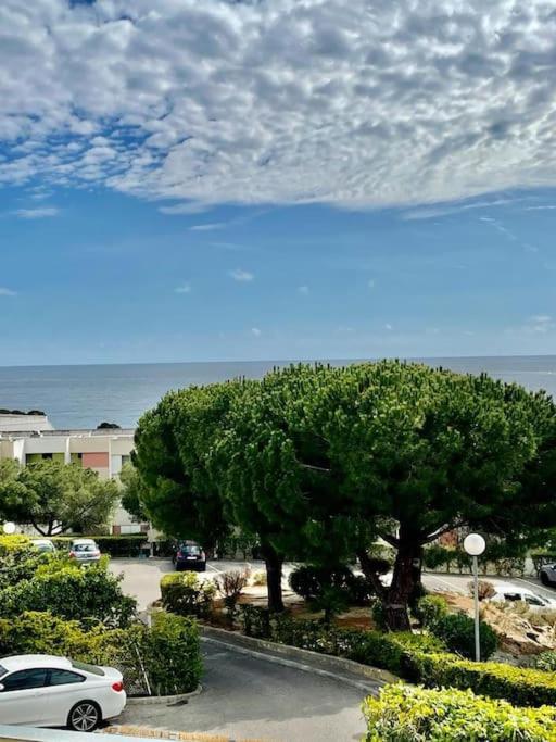 Joli Studio Cosy De 31 M2 Bord De Mer Acces Pmr 4Personnes La Ciotat Eksteriør billede